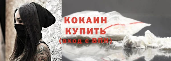 соль ск Бородино