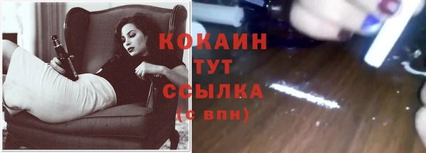 соль ск Бородино