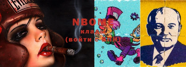 соль ск Бородино