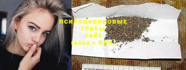соль ск Бородино