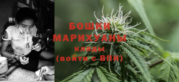 соль ск Бородино
