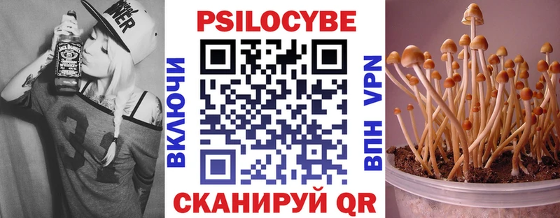 Купить  Каргат  Галлюциногенные грибы прущие грибы 